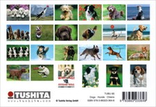 Postkartenbuch "Dogs * Hunde *