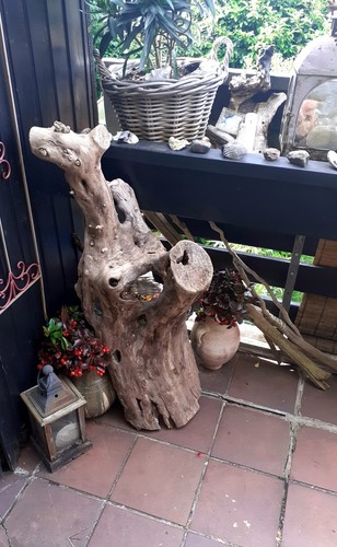 Treibholz schwemmholz - xl,