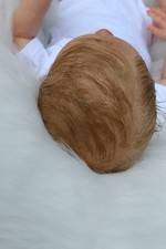 lillbees atemberaubendes