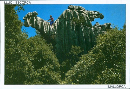 Escora lluc - ak,