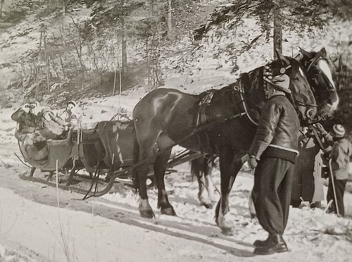 Familie pferdeschlitten - familie, in