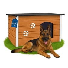 Hundehütte xxl eiche isoliert - eiche,