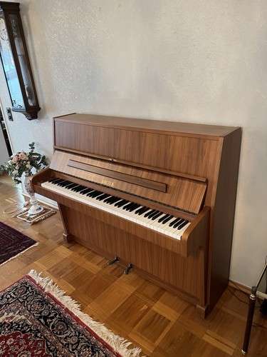 Sauter klavier walnuss - klavier,