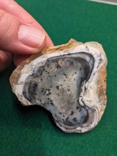 Great 7cm Slice Dendrite Opal