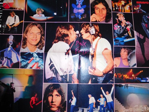 Pink floyd poster - ,