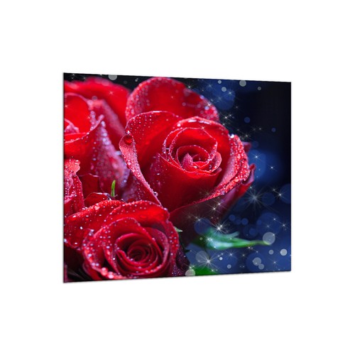 Küchenrückwand glas 65x60 - glas,