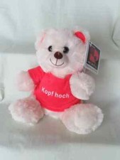 Plüschbär Teddy mit rotem