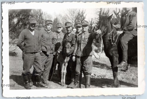 Wehrmacht soldaten fohlen - wehrmacht,