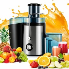 Entsafter Für Obst Und Gemüse Aus Edelstahl 1000W Elektrische Saftpresse 500ml