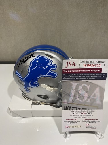 Nfl detroit lions - nfl,