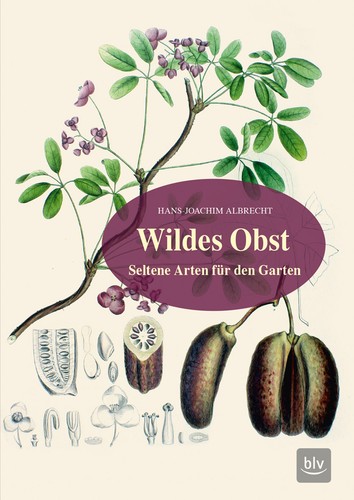 Wildes obst seltene arten - wildes, obst: