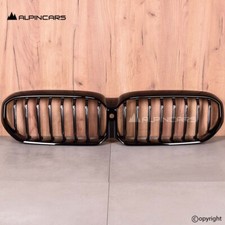 OEM BMW G30 5er LCI Ziergitter