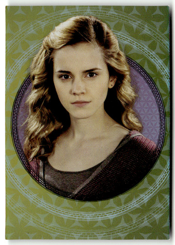 Panini harry potter magical - panini,