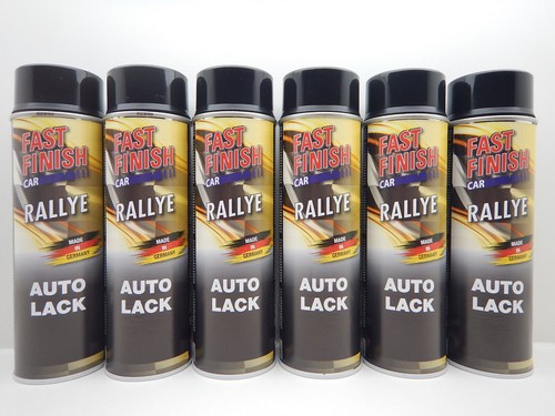 Fast finish car rallye - 6x,