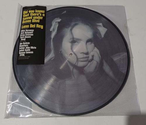Lana del rey 2 vinyl - rey,