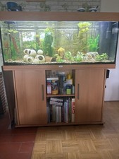 Juwel Rio 240 Aquarium mit LED-Beleuchtung, Pumpe, Filter, Heizer  , CO2 Anlage