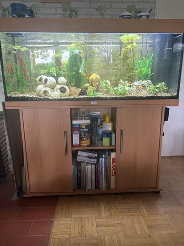 Juwel rio 240 aquarium - juwel, mit