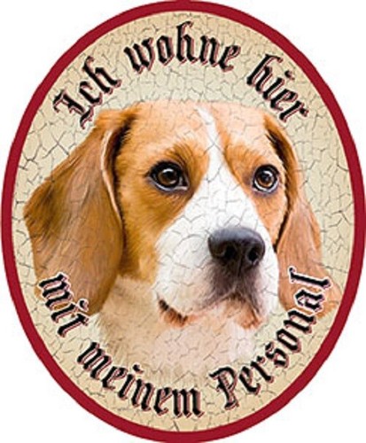 Hund beagle nostalgieschild - +,