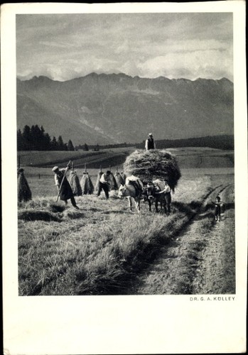 Landwirtschaft - ak,