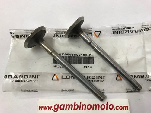 Ventile motor lombardini - ventile,