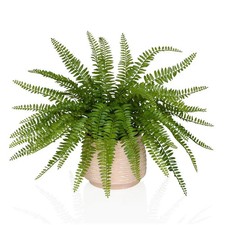 hjh OFFICE Kunstpflanze