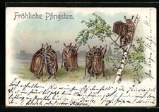 Lithographie Maikäfer-Tanz