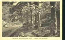 Trusetal  ungelaufen ca. 1920