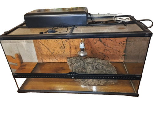 Terrarium