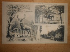 AK Tiefensee Försterei