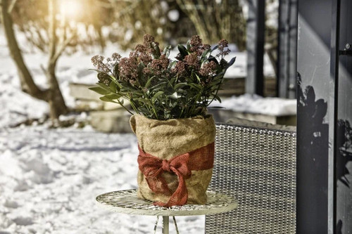 Windhager winterschutz für - winterschutz,