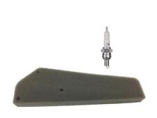 Luftfilter + Zündkerze für