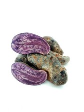 Kartoffel Violetta festkochend