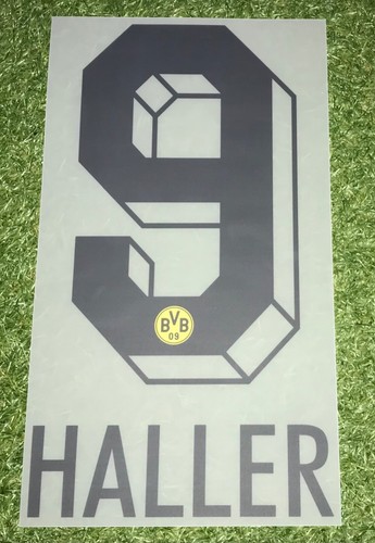 Sebastien haller flock - haller,