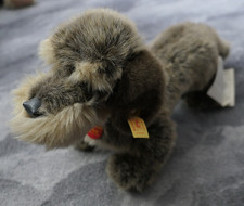 Steiff Hund Dackel Raudi No. 078590 Dachshund L ca. 42 cm Knopf Fahne selten