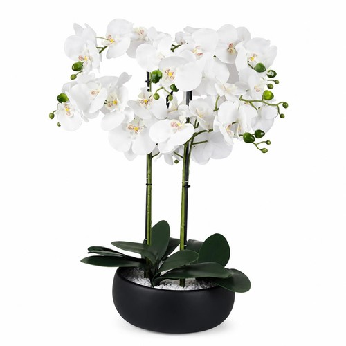 Künstliche orchidee cm - künstliche,