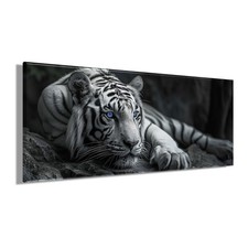 Wandbild TIGER XXL 60x140 cm