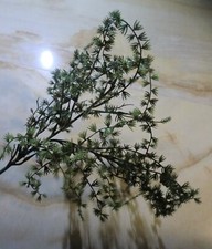 Lärchen-Zweig 98 cm