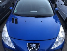 Peugeot 206+ Motorhaube Bonnet