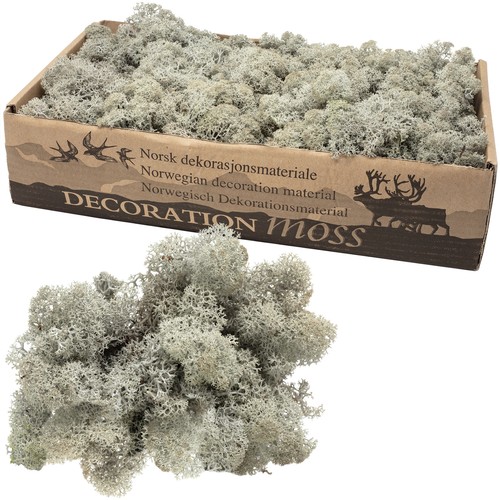 Karton islandmoos grau - karton, 500g