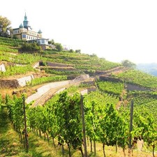 Radebeul bei Dresden City