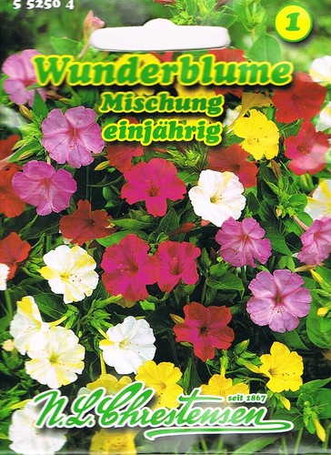 Wunderblume mischung - wunderblume,