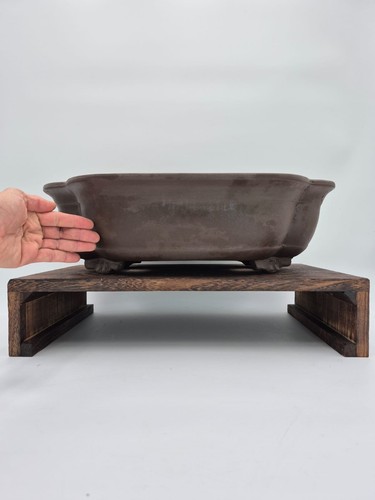 Bonsai topf x 14 cm - 49,