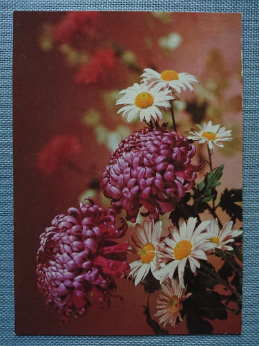 Alte ansichtskarte postkarte - alte,