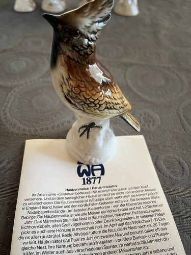 Buchfink vögel a porzellan - buchfink,,