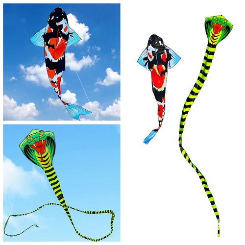 Riesiger bunter drachen mit - bunter,