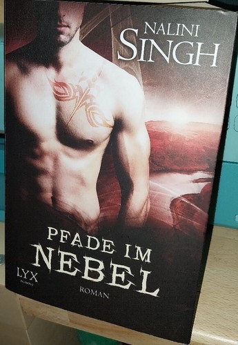 Pfade nebel von singh - von,