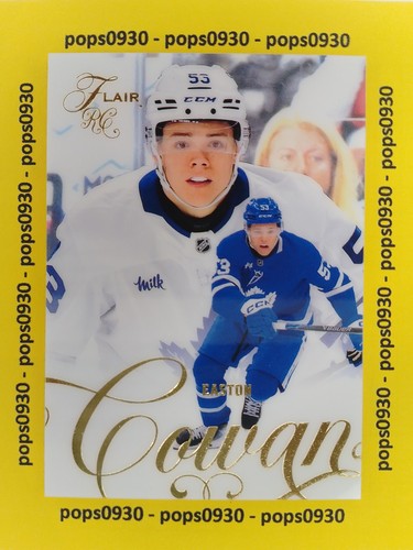 Easton cowen toronto maple - easton,