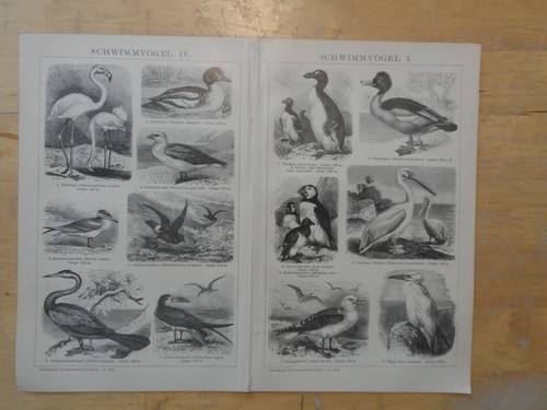 Orig holzstich - orig.(1908),