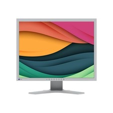 EIZO FlexScan S2134