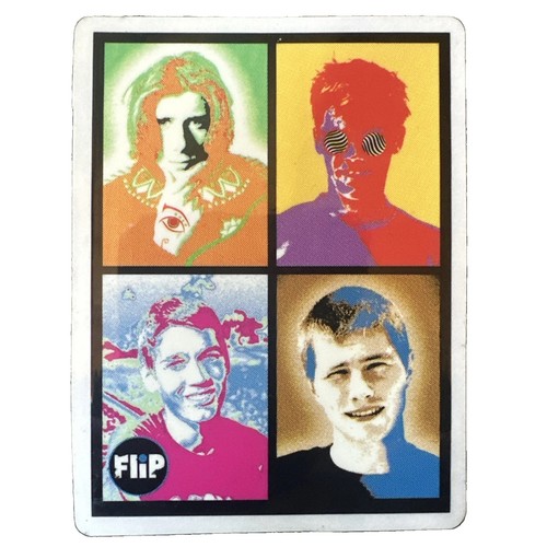 Flip skateboards team skate - skateboards,